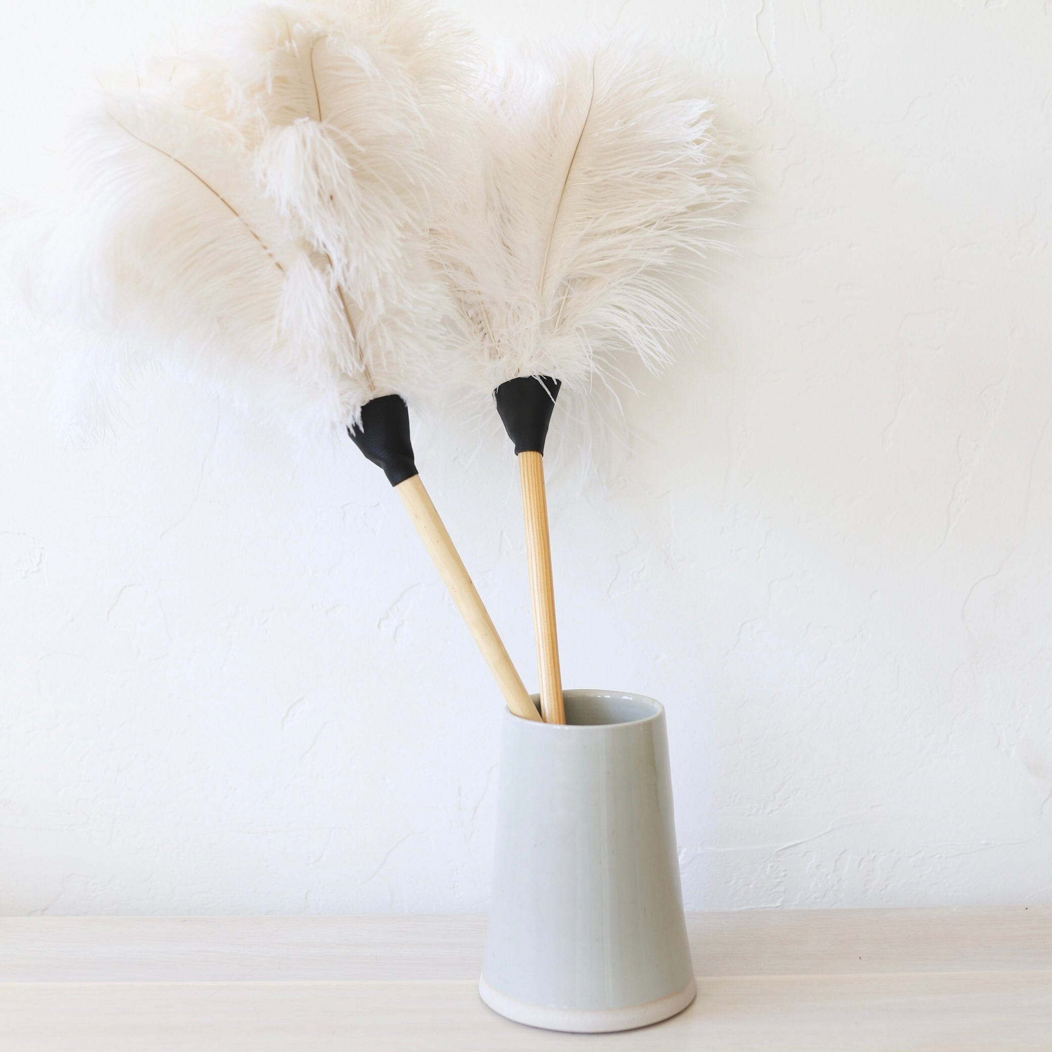 Earth & Nest Clean Home White Feather Duster