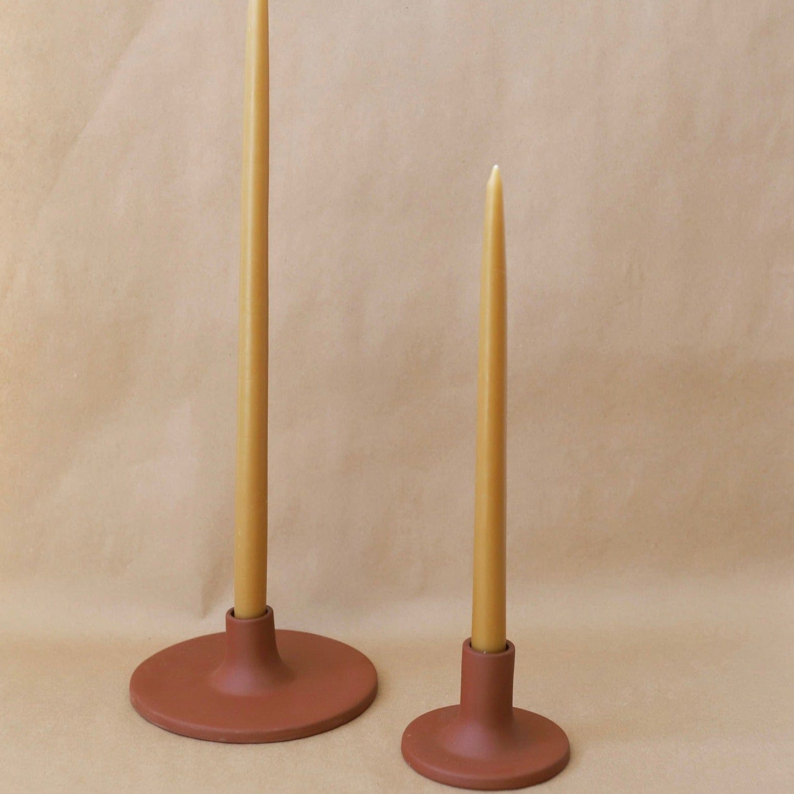 Floral Society Decor Miel / 12" Taper Candles Set by Floral Society