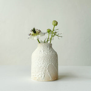 Gina Desantis Ceramics Decor Small Crater Vase Collection - White
