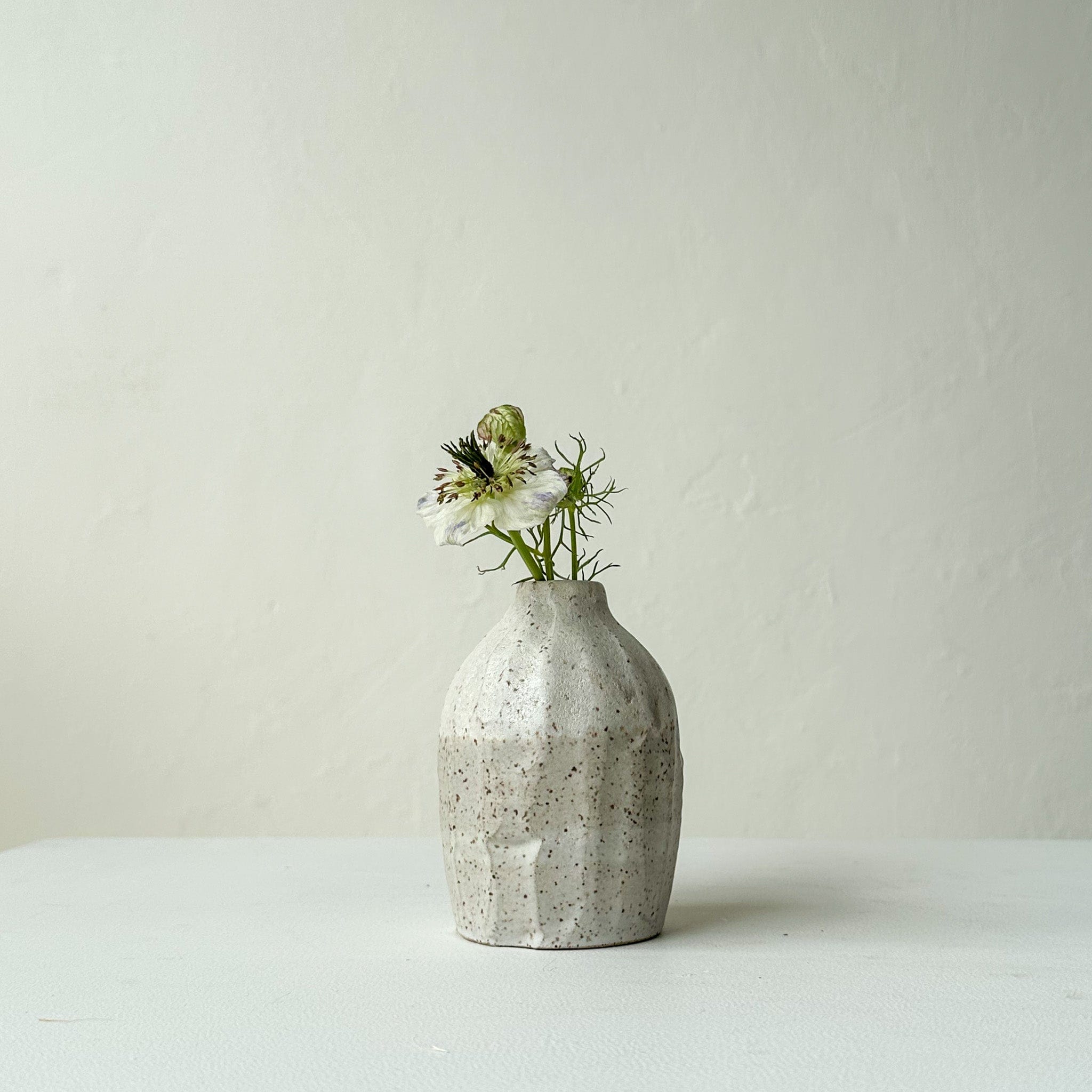 Gina Desantis Ceramics Decor Small Speckled Vase - Short