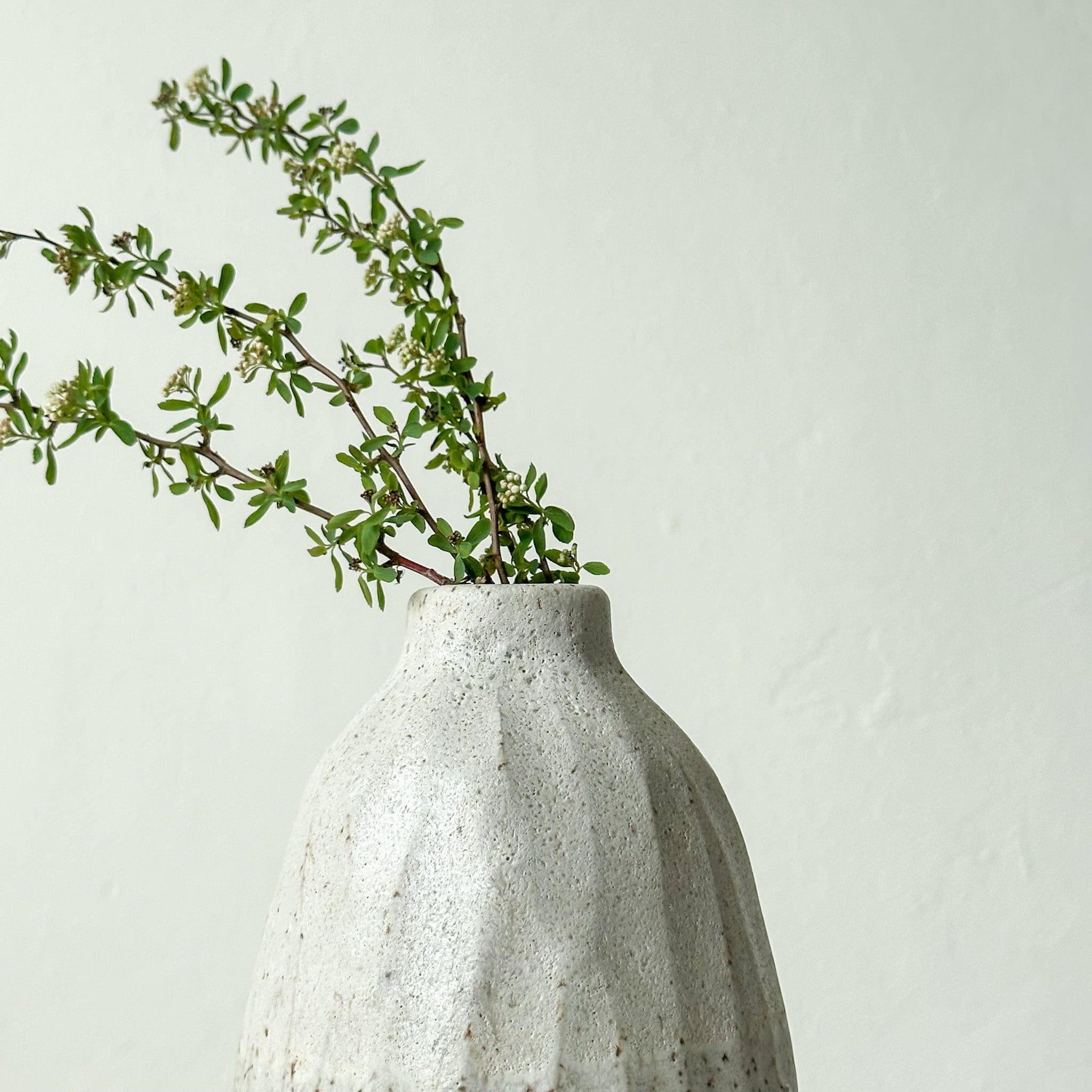 Gina Desantis Ceramics Decor Tall Speckled Vase - Tall