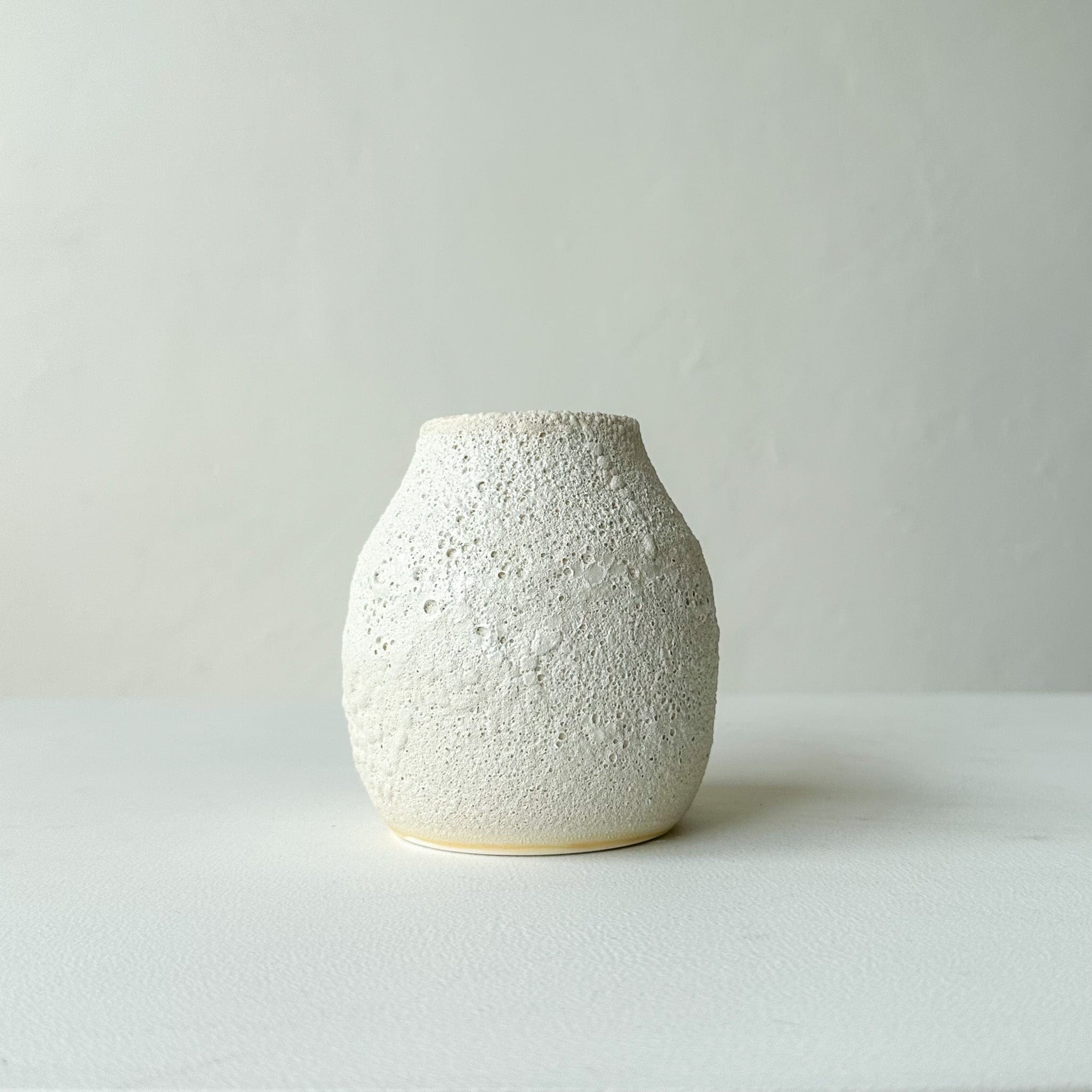 Gina Desantis Ceramics Decor Wide Crater Vase Collection - White