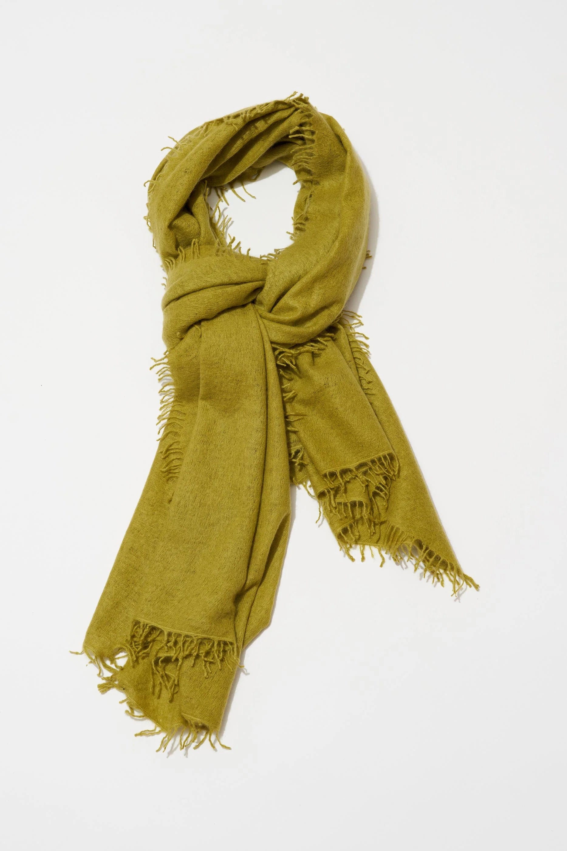 Organic John Patrick Accessories Lentil Sprout Organic by John Patrick - Cashmere Felted Scarf