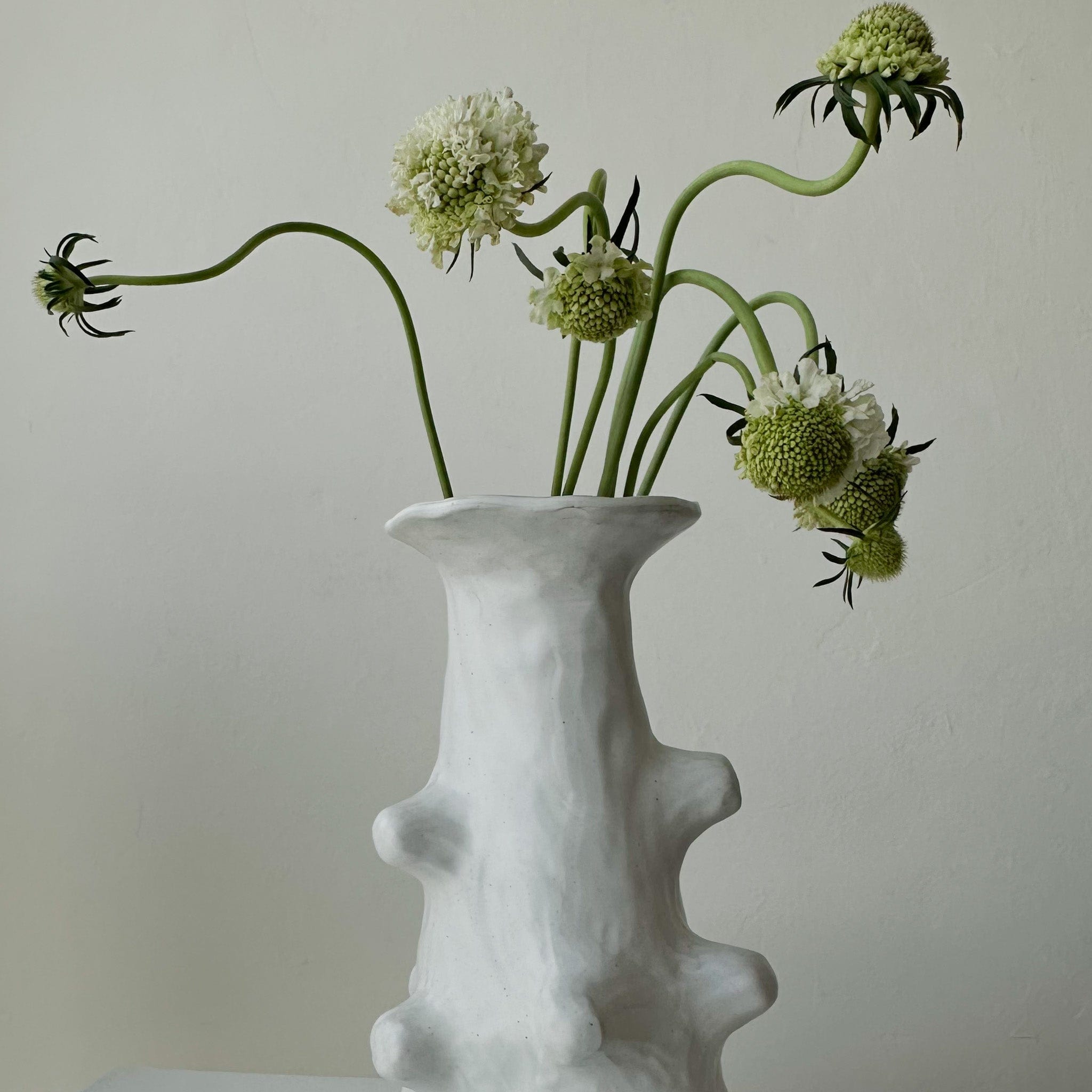 serax Decor 3 / Small The Billy Vase by Marie Michielssen