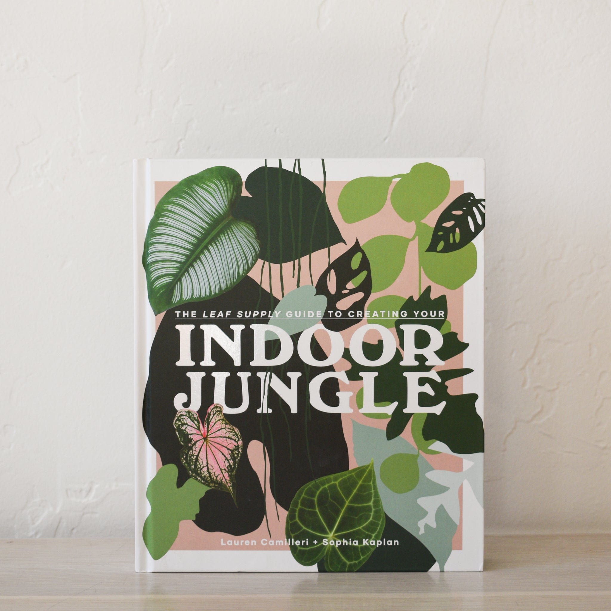 Stephen Young Books Indoor Jungle