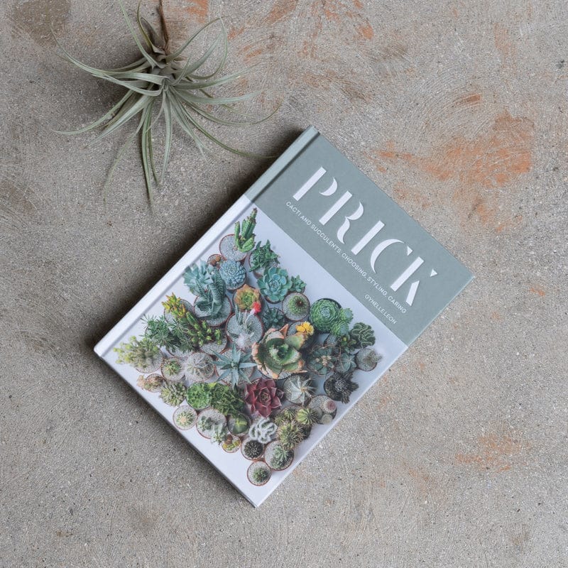 Stephen Young Books Prick | Cactus and Succulents: Choosing, Styling, Caring