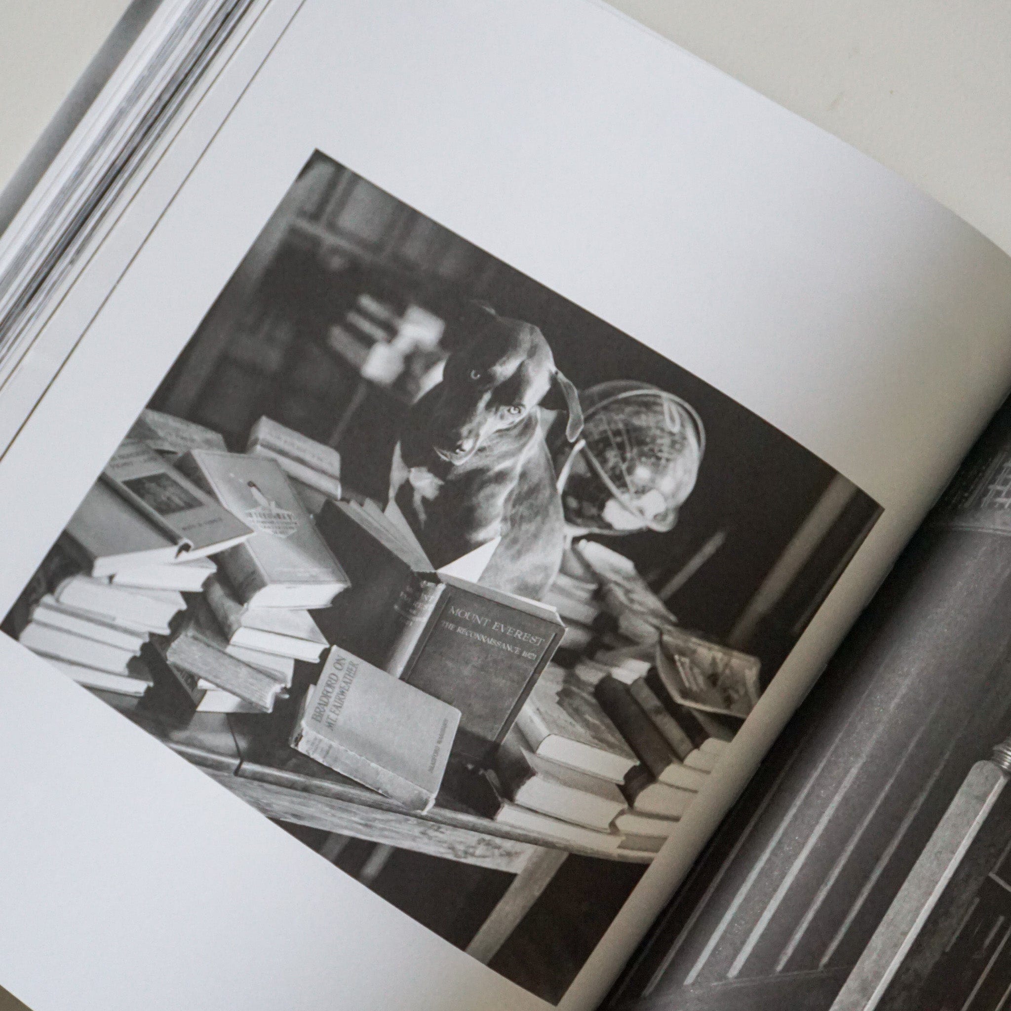 Taschen Books Bruce Weber. The Golden Retriever Photographic Society